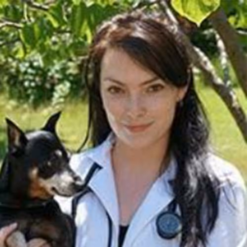 staff profile