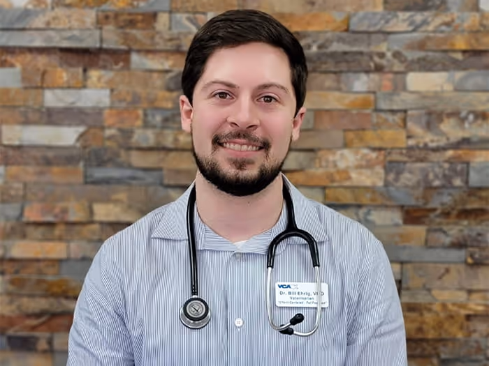staff profile