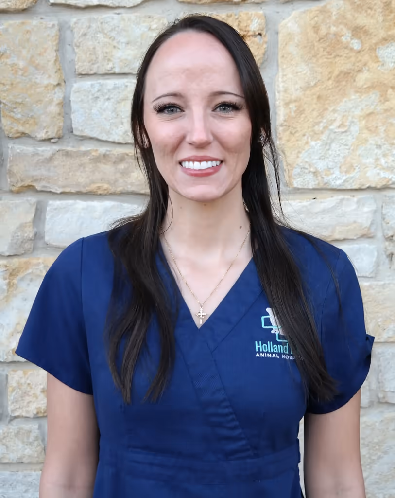 staff profile