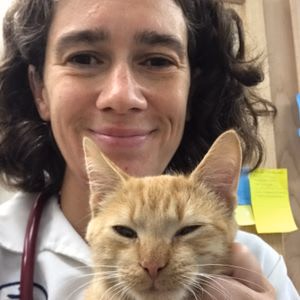 staff profile