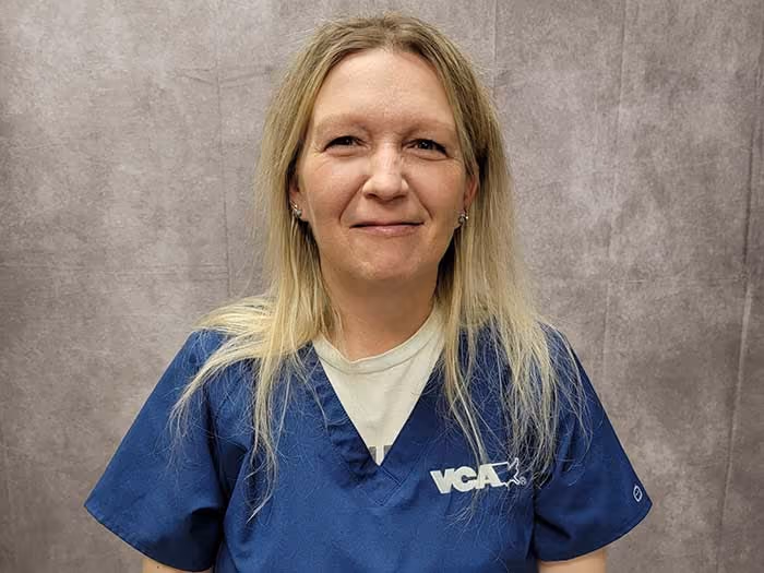 staff profile