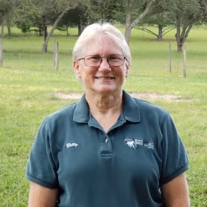 staff profile