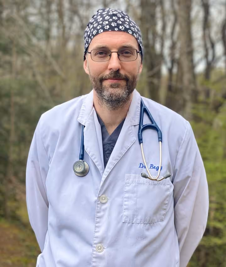 staff profile