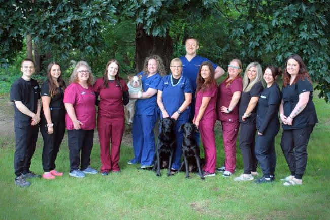 staff profile